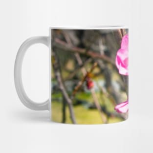 Photography - First plum blossom Mug